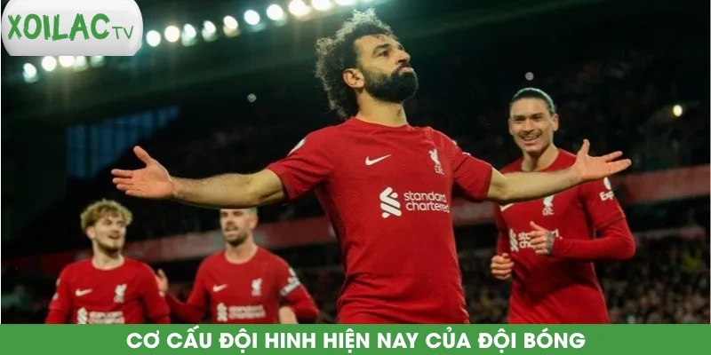co-cau-doi-hinh-hien-nay-cua-doi-bong