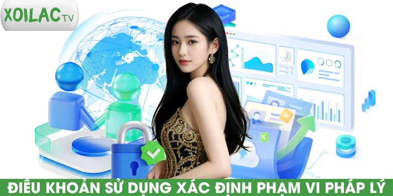 dieu-khoan-su-dung-xac-dinh-pham-vi-phap-ly