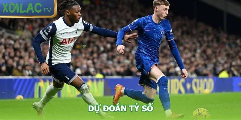 du-doan-ty-so-chelsea-vs-tottenham