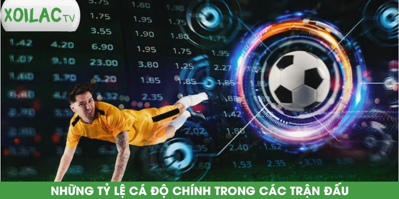 nhung-ty-le-ca-do-chinh-trong-cac-tran-dau