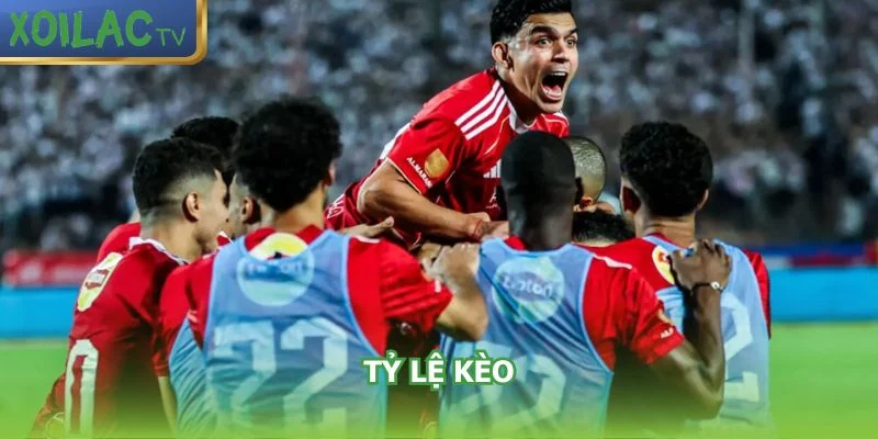 ty-le-keo-al-mokawloon-al-arab-vs-wadi-degla-fc